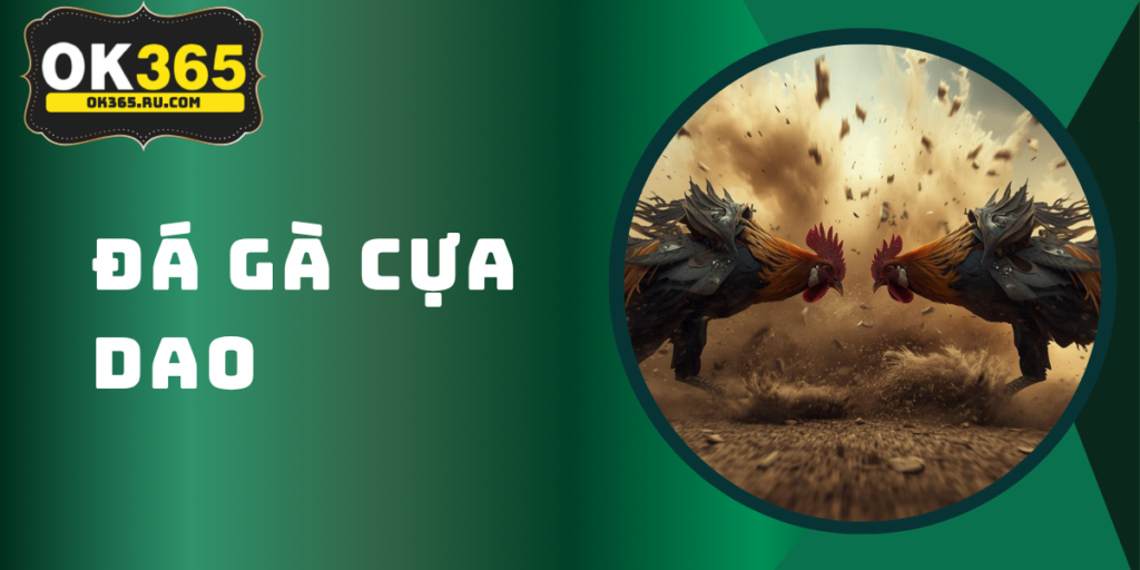 Đá Gà Cựa Dao OK365 - Xem Trực Tiếp HD Và Soi Kèo Chuẩn 2026